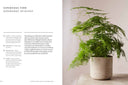 The Healing Power of Plants By Fran Bailey