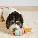 Ice Cream Interactive 2-in-1 Bounce Dog Toy