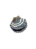 Hand-painted Seashell Claw Hair Clip | Eco-Friendly: Golden Sand