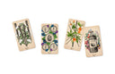 Antique Anatomy Tarot Kit