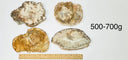 Petrified Wood Slabs - 500-700g