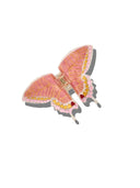 Hand-painted Swallowtail Butterfly Claw Hair Clip: White