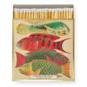 Natural History Museum Fish Safety Matches