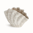 Seashore Vase - Cream