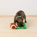Football Interactive Snuffle Dog Toy