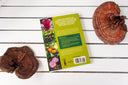 Foraging: An Illustrated Guide to Edible Wild Plants