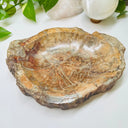 Petrified Wood Bowl