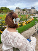 Hand-painted Swallowtail Butterfly Claw Hair Clip: Brown