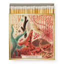 NHM Great Barrier Reef Safety Matches