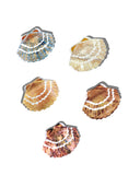 Hand-painted Seashell Claw Hair Clip | Eco-Friendly: Blue Mosaic