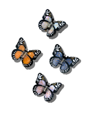 Hand-painted Mini Monarch Butterfly Claw Hair Clip | Eco-Friendly: Orange