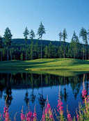 150 golf courses you need to visit before you die by Stefanie Waldek: Hardcover; 256 pages / English