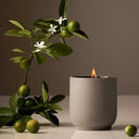 Signature Candle Steeped Rose