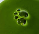 Neuro Magnesi-Om® Magnesium L-Threonate, Focus & Memory: Matcha