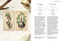 Antique Anatomy Tarot Kit