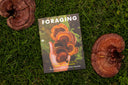 Foraging: An Illustrated Guide to Edible Wild Plants